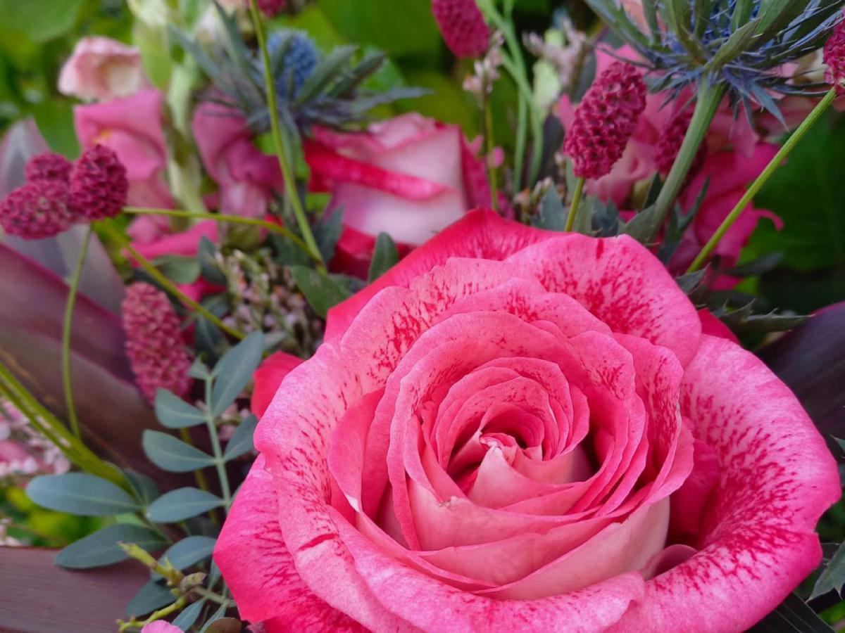 Célébrations - AU FIL DES MARGUERITES - HAUTE-GOULAINE